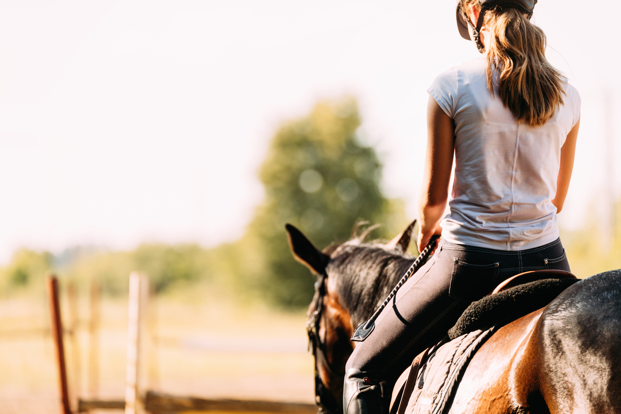 Horse Riding